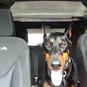 Meet your Posher, Kimberly